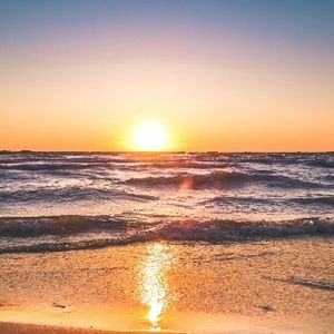 Meet your Posher, Vivian